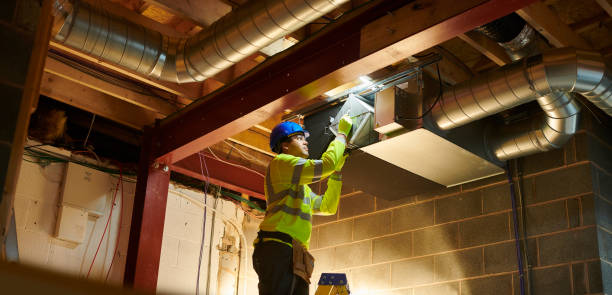 Air Duct Mold Removal in IL