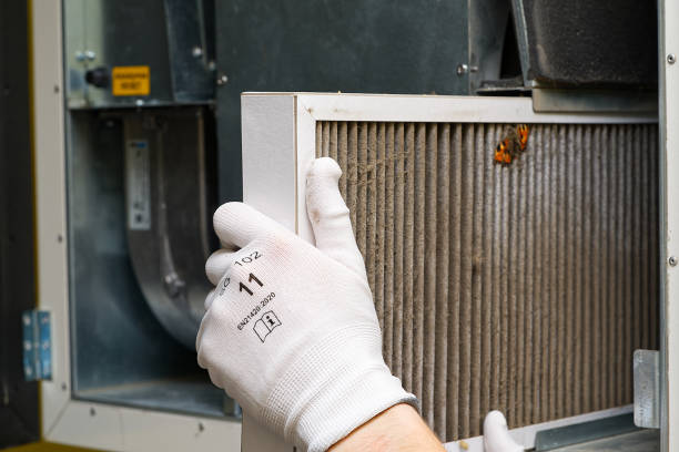 Best Commercial HVAC Duct Cleaning  in Auburn, IL