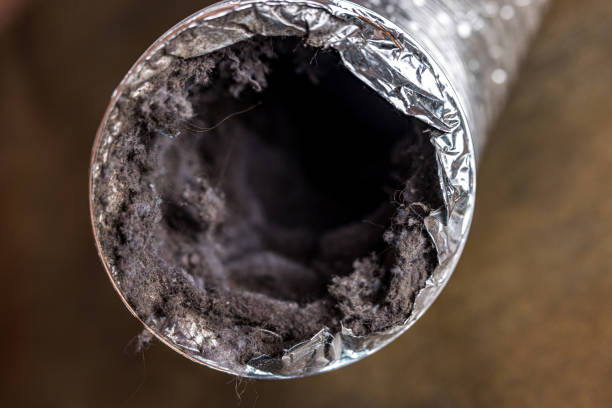 Best Commercial Air Duct Cleaning  in Auburn, IL