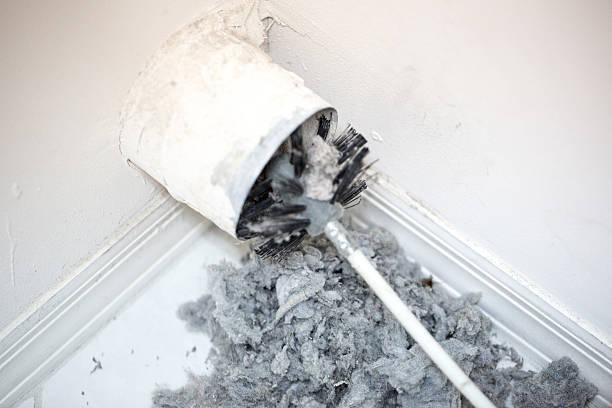 Best Emergency Air Duct Cleaning  in Auburn, IL