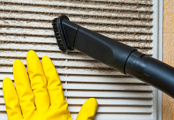 Best Local Air Duct Cleaning Services  in Auburn, IL